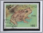 Sellos de Asia - Laos -  Ranas: Bufo marinus