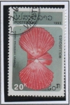 Stamps Laos -  Chlamys senatorius nobilis