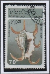 Stamps Laos -  Lambis rugosa