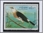 Stamps Laos -  Pájaros, 	Mina birmano