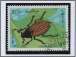 Stamps Laos -  Insectos, Melolontha melolontha