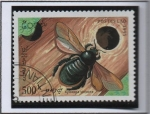 Sellos de Asia - Laos -  Insectos, Xylocopa violacea