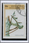 Stamps Laos -  Caballos d' Tiro