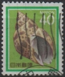 Stamps Japan -  Concha marfil