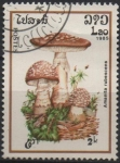 Stamps Laos -  Amanita Rubescens