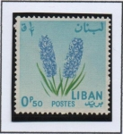 Stamps Lebanon -  Jacintos