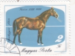 Stamps Hungary -  caballo de raza