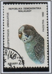 Stamps Madagascar -  Aves, Melopsit Tacus undulatus