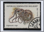 Stamps Madagascar -  Moluscos, Argonauta argo