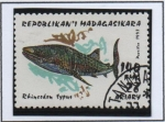 Sellos de Africa - Madagascar -  Tiburones: Rincodon typus