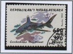 Sellos de Africa - Madagascar -  Tiburones: Carcharhinus Benz