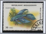 Stamps Madagascar -  Peces d' Acuario: Betta splendens