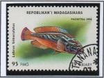 Stamps Madagascar -  Peces d' Acuario: Labrus Bimaculatus