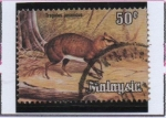 Stamps Malaysia -  Ciervo ratón de Java