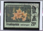 Stamps Malaysia -  Rododendro scortechinii