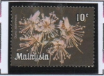 Stamps Malaysia -  Durio Zibethinus