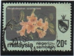 Stamps Malaysia -  Rododendro scortechinii