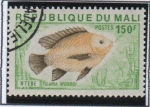 Sellos de Africa - Mali -  Peces, Tilapia monodi