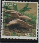 Stamps Malta -  Setas:Seta de cardo. Pleurotus eryngii