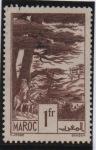 Stamps Morocco -  Cedros d' Ifarane