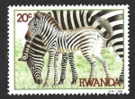 Sellos de Africa - Rwanda -  1199 - Cebras