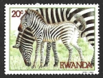 Sellos de Africa - Rwanda -  1199 - Cebras