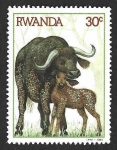 Sellos de Africa - Rwanda -  1200 - Búfalo