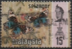 Stamps Malaysia -  Rhyncos tylis retusa