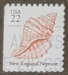 Stamps United States -  Caracoles - New england neptune