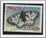 Stamps Italy -  Mariposas. Melanargia