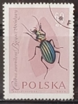 Stamps Poland -  Insectos - Carabus auronitens