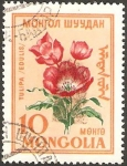 Stamps : Asia : Mongolia :  flora - tulipan