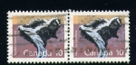 Sellos de America - Canad -  Mofeta