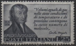 Sellos de Europa - Italia -  Amadeo Avogadro