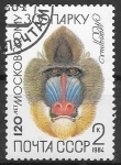 Stamps Russia -  rusia