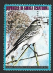 Stamps Equatorial Guinea -  76-116 - Lavandera Blanca