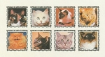 Stamps Equatorial Guinea -  Gatos
