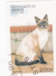 Sellos de Africa - Benin -  GATO- SIAMES