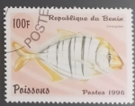 Stamps Benin -  Carangidus sp.