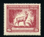 Stamps America - Chile -  Huemul