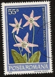 Sellos de Europa - Rumania -  Flora - Erythronium diente de perro