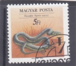 Stamps Hungary -  víbora