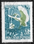 Sellos de Europa - Hungra -  Aves - Egretta garzetta