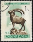 Sellos de Europa - Hungr�a -  Animales - Capra ibex)