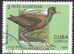 Sellos de America - Cuba -  aves