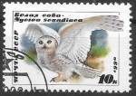 Stamps Russia -  aves