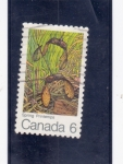 Stamps Canada -  estampados de primavera