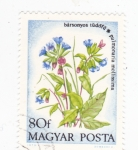 Stamps Hungary -  FLORES-