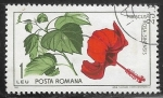 Sellos de Europa - Rumania -  Flores - Hibiscus rosa-sinensis