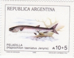 Sellos de America - Argentina -  PEZ-PELADILLA